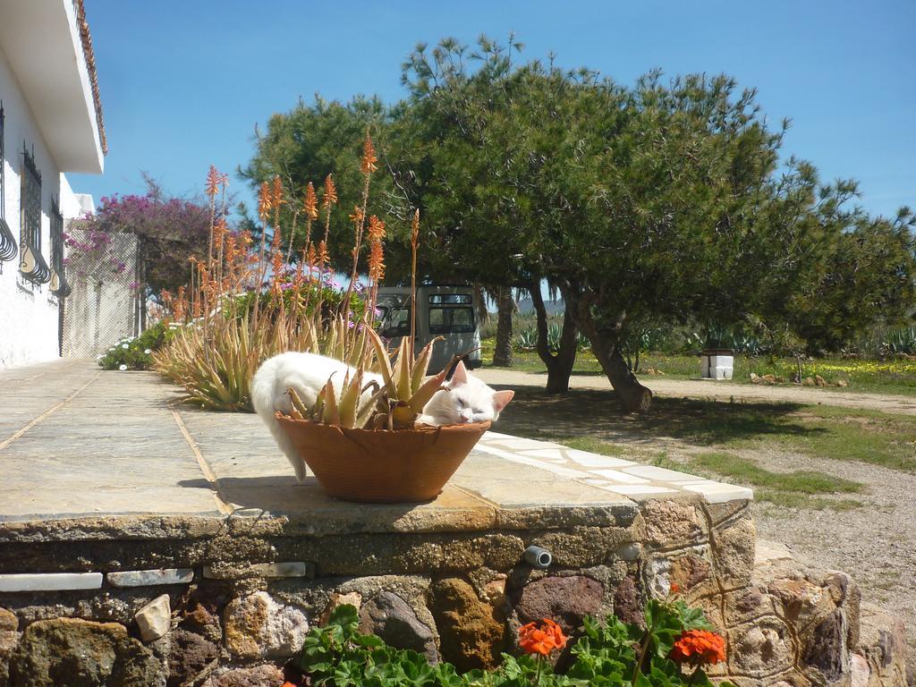 Cortijo La Molina De Cabo De Gata Guest House Exterior photo