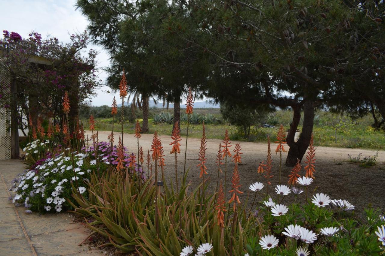 Cortijo La Molina De Cabo De Gata Guest House Exterior photo